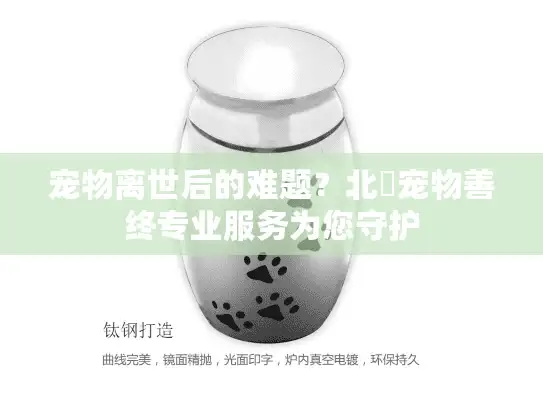 宠物离世后的难题？北滘宠物善终专业服务为您守护