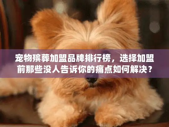 宠物殡葬加盟品牌排行榜，选择加盟前那些没人告诉你的痛点如何解决？