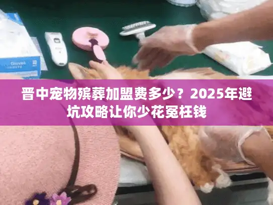 晋中宠物殡葬加盟费多少？2025年避坑攻略让你少花冤枉钱