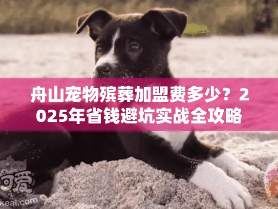 舟山宠物殡葬加盟费多少？2025年省钱避坑实战全攻略