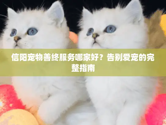 信阳宠物善终服务哪家好？告别爱宠的完整指南