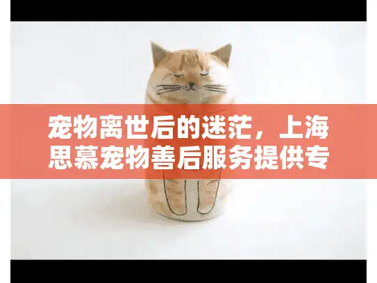 宠物离世后的迷茫，上海思慕宠物善后服务提供专业解决方案