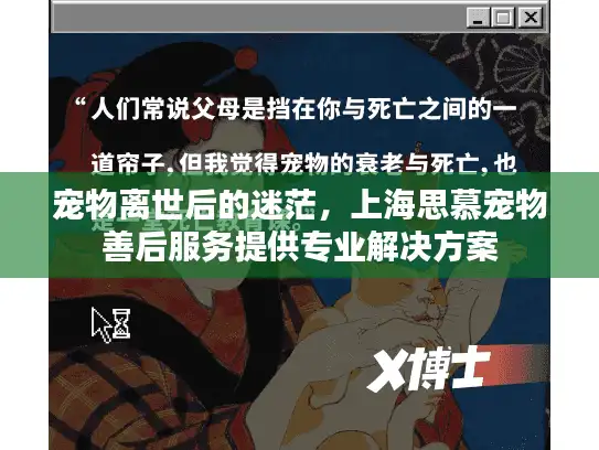 宠物离世后的迷茫，上海思慕宠物善后服务提供专业解决方案