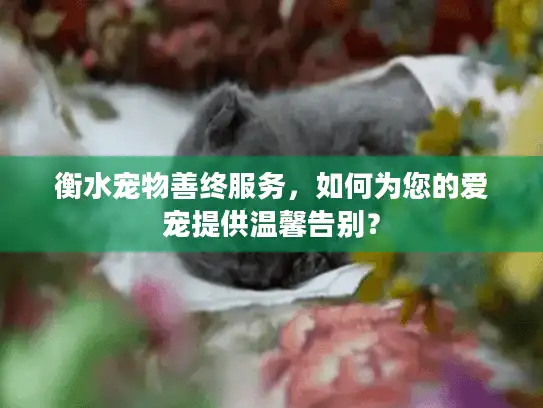 衡水宠物善终服务，如何为您的爱宠提供温馨告别？