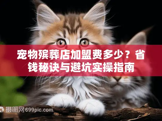 宠物殡葬店加盟费多少？省钱秘诀与避坑实操指南