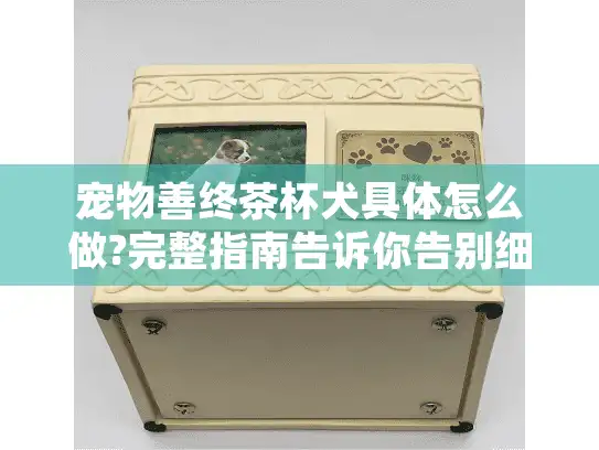 宠物善终茶杯犬具体怎么做?完整指南告诉你告别细节