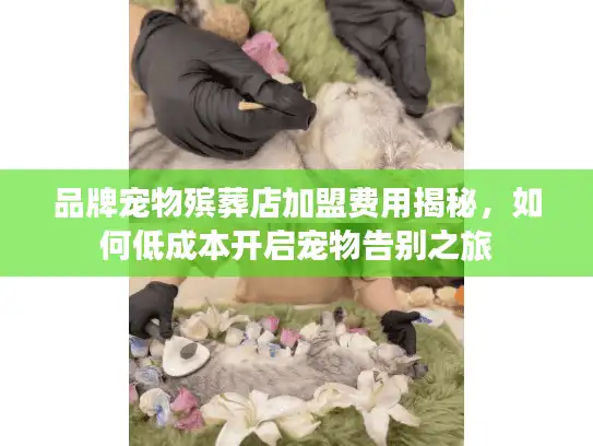 品牌宠物殡葬店加盟费用揭秘，如何低成本开启宠物告别之旅