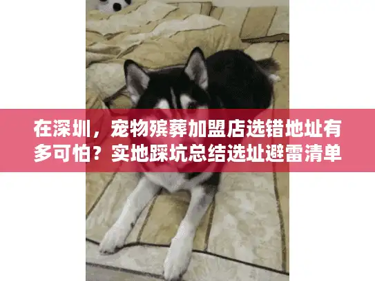 在深圳，宠物殡葬加盟店选错地址有多可怕？实地踩坑总结选址避雷清单