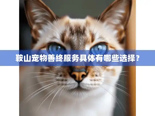 鞍山宠物善终服务具体有哪些选择？