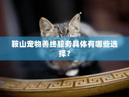 鞍山宠物善终服务具体有哪些选择？
