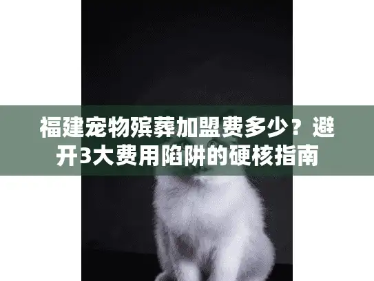 福建宠物殡葬加盟费多少？避开3大费用陷阱的硬核指南