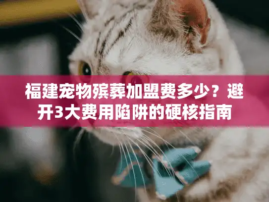 福建宠物殡葬加盟费多少？避开3大费用陷阱的硬核指南
