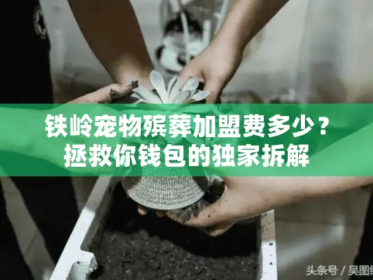 铁岭宠物殡葬加盟费多少？拯救你钱包的独家拆解