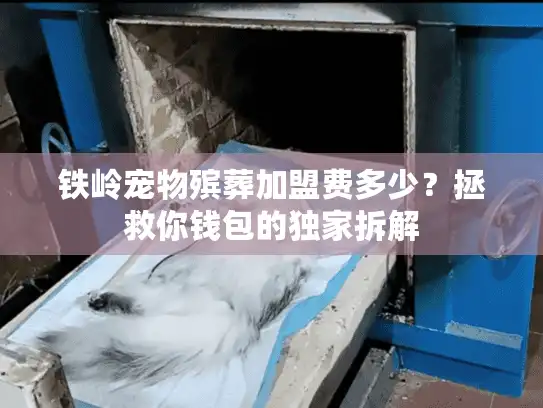 铁岭宠物殡葬加盟费多少？拯救你钱包的独家拆解