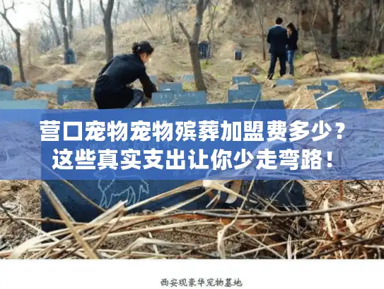 营口宠物宠物殡葬加盟费多少？这些真实支出让你少走弯路！