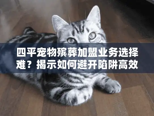 四平宠物殡葬加盟业务选择难？揭示如何避开陷阱高效入手