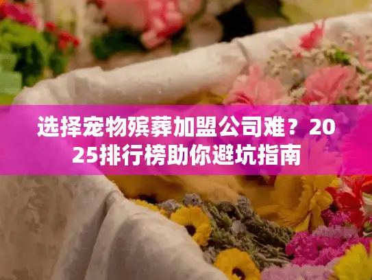 选择宠物殡葬加盟公司难？2025排行榜助你避坑指南