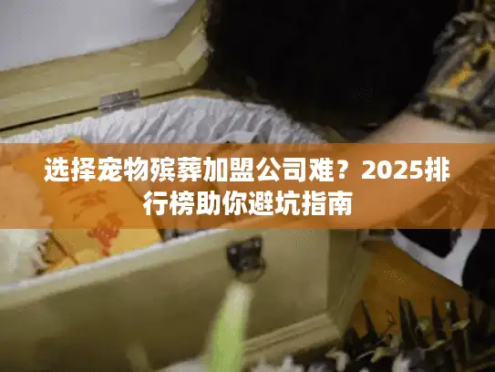 选择宠物殡葬加盟公司难？2025排行榜助你避坑指南