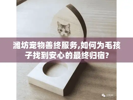潍坊宠物善终服务,如何为毛孩子找到安心的最终归宿?
