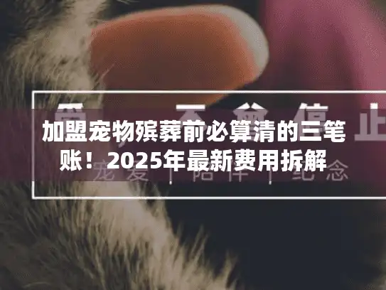 加盟宠物殡葬前必算清的三笔账！2025年最新费用拆解