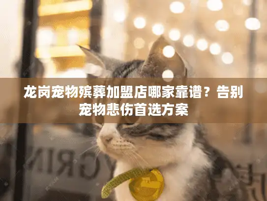 龙岗宠物殡葬加盟店哪家靠谱？告别宠物悲伤首选方案