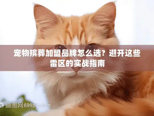 宠物殡葬加盟品牌怎么选？避开这些雷区的实战指南