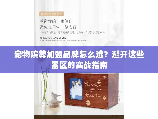 宠物殡葬加盟品牌怎么选？避开这些雷区的实战指南
