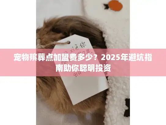 宠物殡葬点加盟费多少？2025年避坑指南助你聪明投资