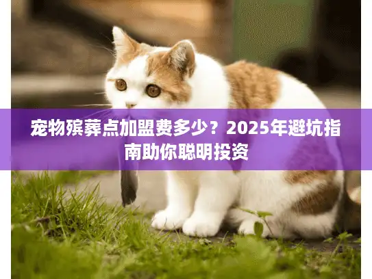 宠物殡葬点加盟费多少？2025年避坑指南助你聪明投资