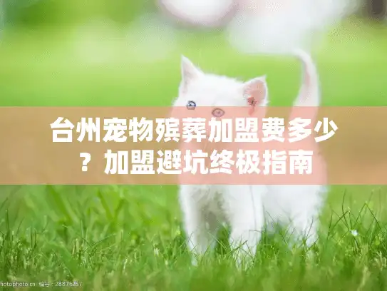 台州宠物殡葬加盟费多少？加盟避坑终极指南