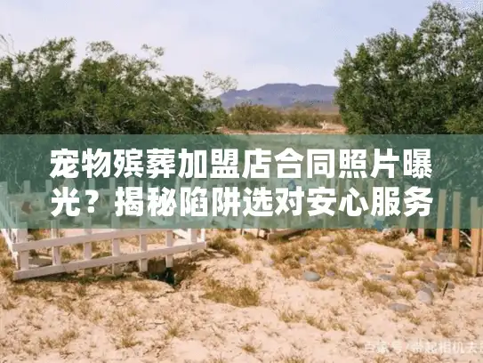 宠物殡葬加盟店合同照片曝光？揭秘陷阱选对安心服务！