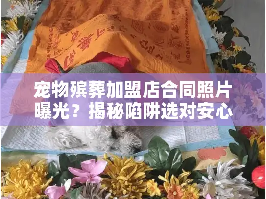 宠物殡葬加盟店合同照片曝光？揭秘陷阱选对安心服务！