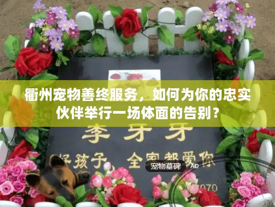 衢州宠物善终服务，如何为你的忠实伙伴举行一场体面的告别？