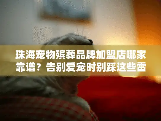 珠海宠物殡葬品牌加盟店哪家靠谱？告别爱宠时别踩这些雷区！