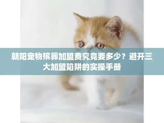 朝阳宠物殡葬加盟费究竟要多少？避开三大加盟陷阱的实操手册