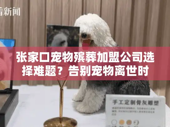张家口宠物殡葬加盟公司选择难题？告别宠物离世时的无助与困惑