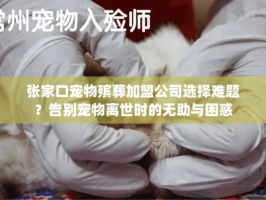 张家口宠物殡葬加盟公司选择难题？告别宠物离世时的无助与困惑