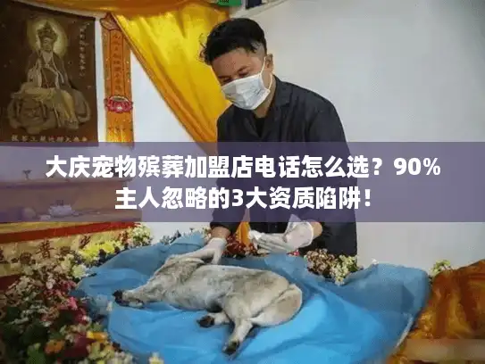 大庆宠物殡葬加盟店电话怎么选？90%主人忽略的3大资质陷阱！