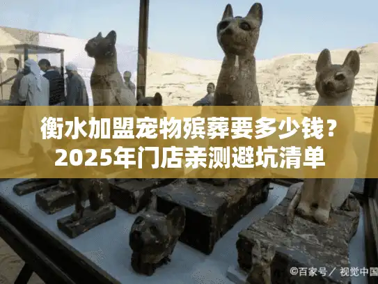 衡水加盟宠物殡葬要多少钱？2025年门店亲测避坑清单