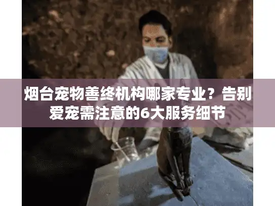 烟台宠物善终机构哪家专业？告别爱宠需注意的6大服务细节