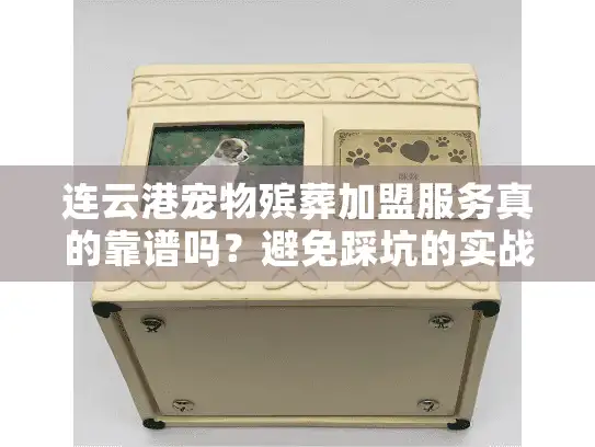 连云港宠物殡葬加盟服务真的靠谱吗？避免踩坑的实战选择秘笈