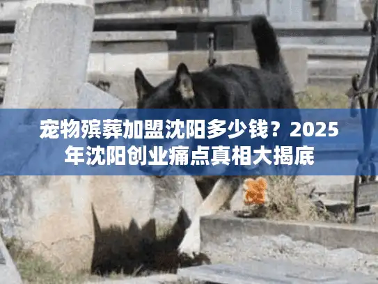 宠物殡葬加盟沈阳多少钱？2025年沈阳创业痛点真相大揭底
