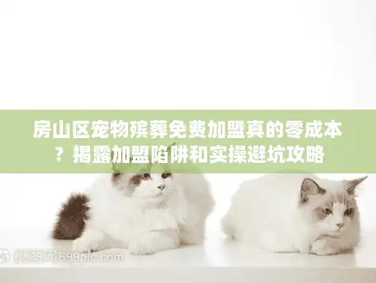 房山区宠物殡葬免费加盟真的零成本？揭露加盟陷阱和实操避坑攻略
