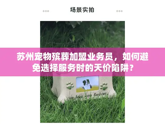 苏州宠物殡葬加盟业务员，如何避免选择服务时的天价陷阱？