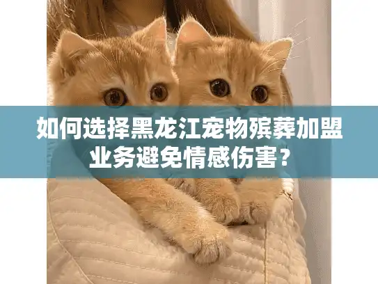 如何选择黑龙江宠物殡葬加盟业务避免情感伤害？
