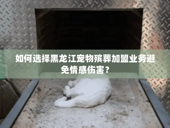 如何选择黑龙江宠物殡葬加盟业务避免情感伤害？