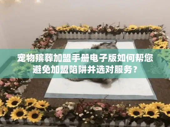 宠物殡葬加盟手册电子版如何帮您避免加盟陷阱并选对服务？