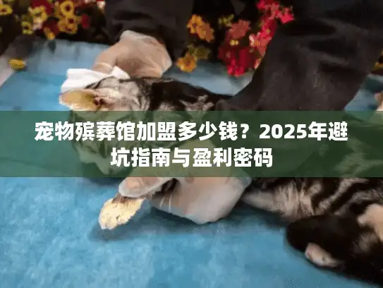 宠物殡葬馆加盟多少钱？2025年避坑指南与盈利密码