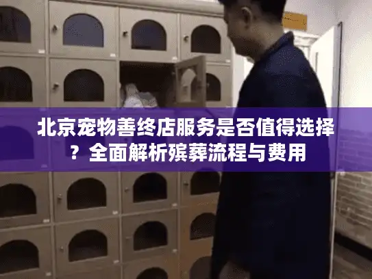 北京宠物善终店服务是否值得选择？全面解析殡葬流程与费用
