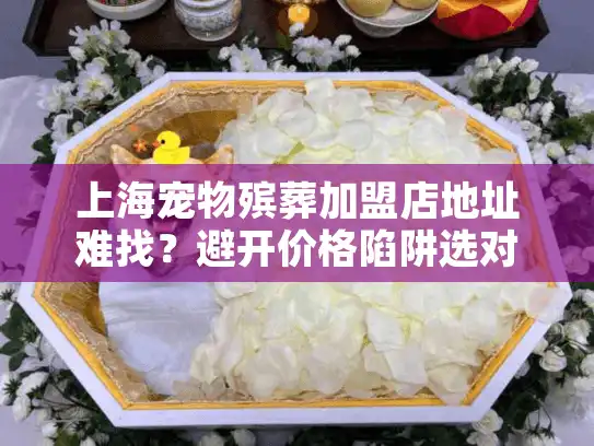 上海宠物殡葬加盟店地址难找？避开价格陷阱选对服务！
